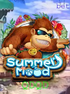 SummerMood: Mergulhe na Aventura com QDQD